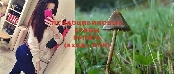 ECSTASY Алексеевка