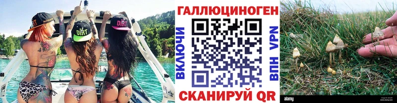 Галлюциногенные грибы прущие грибы  Зуевка 
